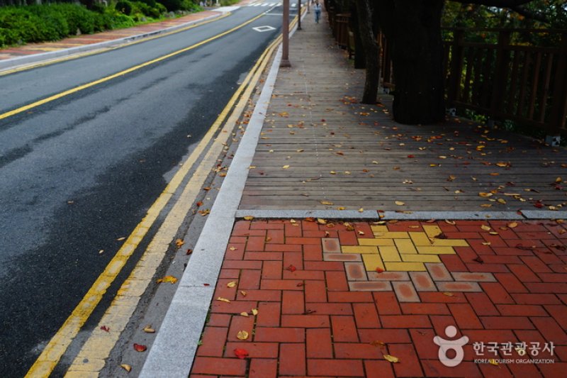 月光路 Moontan Road (문탠로드)