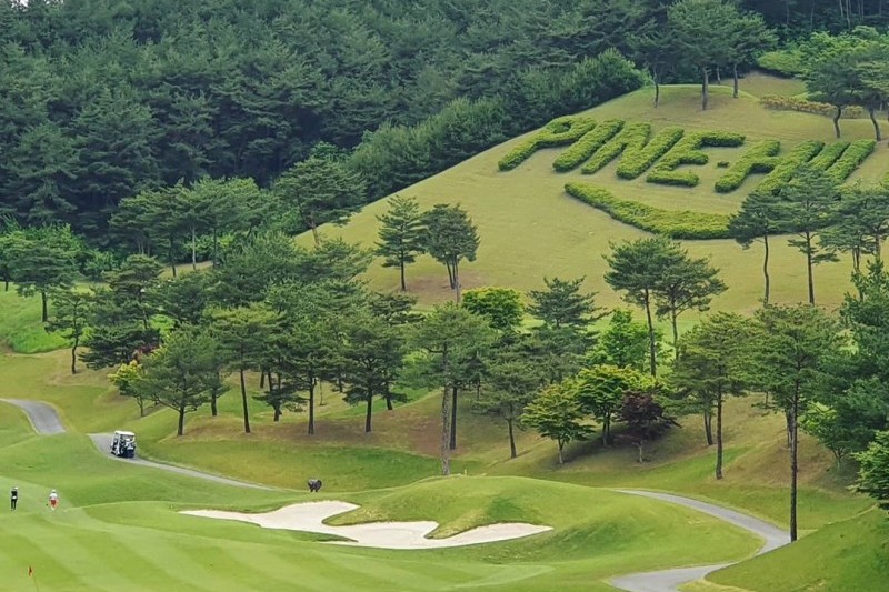 Pinehills乡村俱乐部파인힐스 컨트리클럽 (1/6)