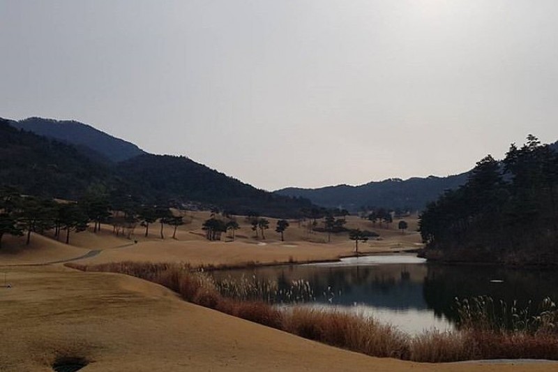 Pinehills乡村俱乐部파인힐스 컨트리클럽 (4/6)