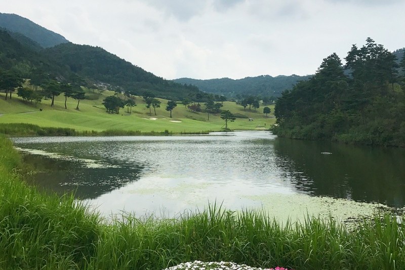 Pinehills乡村俱乐部파인힐스 컨트리클럽 (6/6)