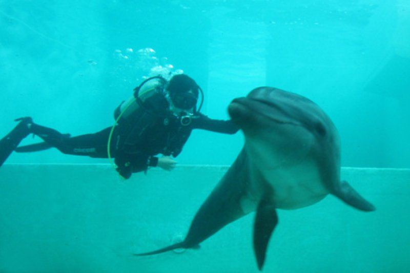 MarinePark마린파크