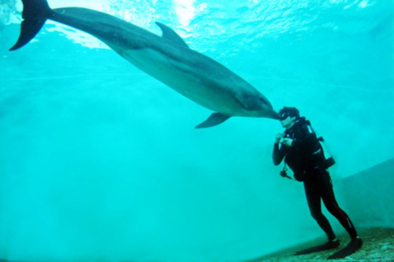 MarinePark마린파크