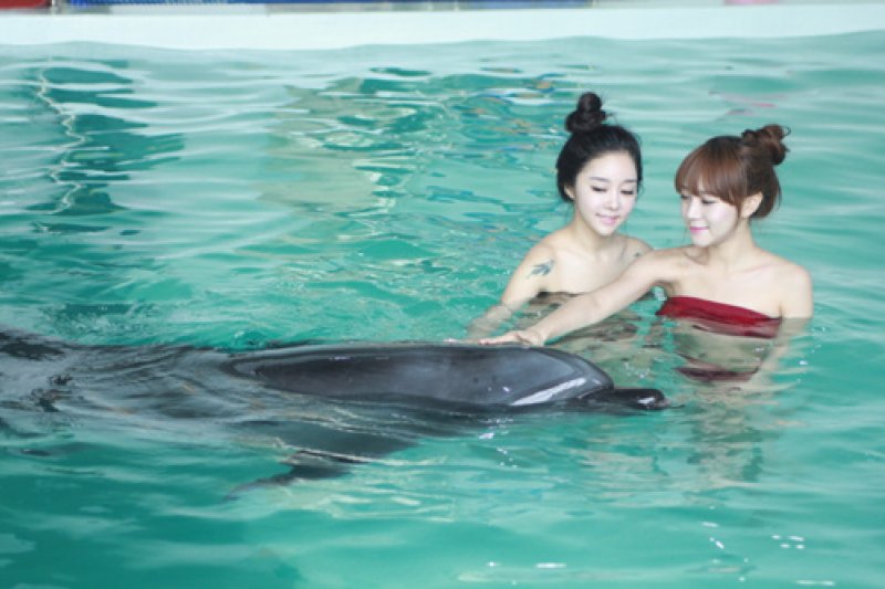 MarinePark마린파크