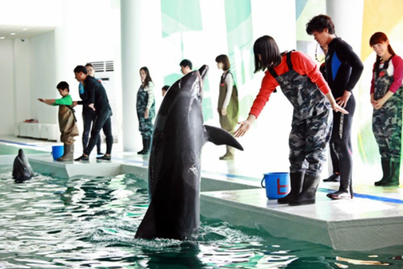 MarinePark마린파크