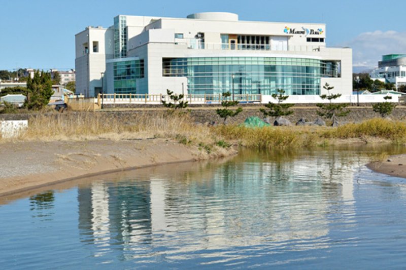MarinePark마린파크