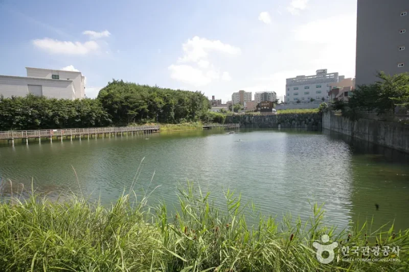 炭池生态公园 (3/8)