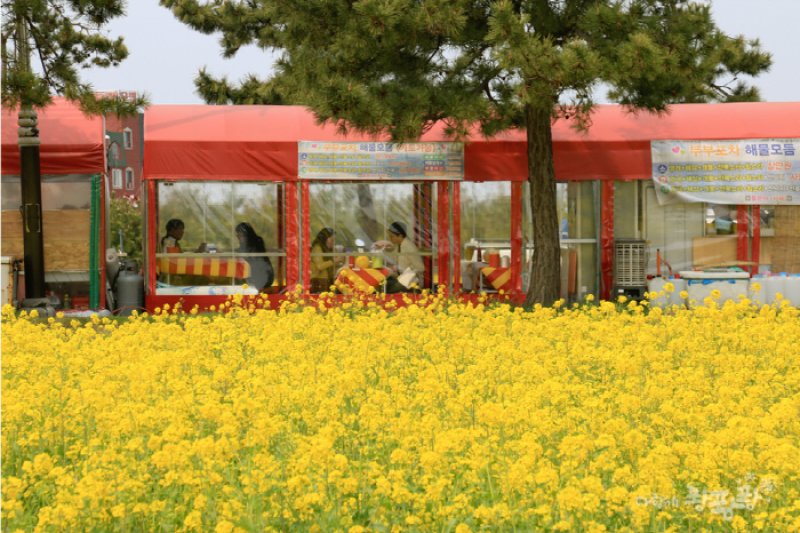 虎尾岬真章鱼节 (2/7)