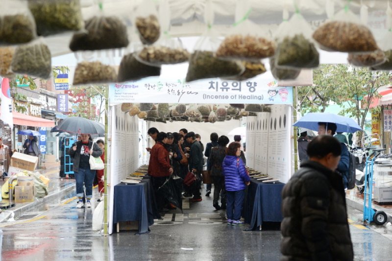首尔药令市韩方文化庆典(서울약령시 한방문화축제)