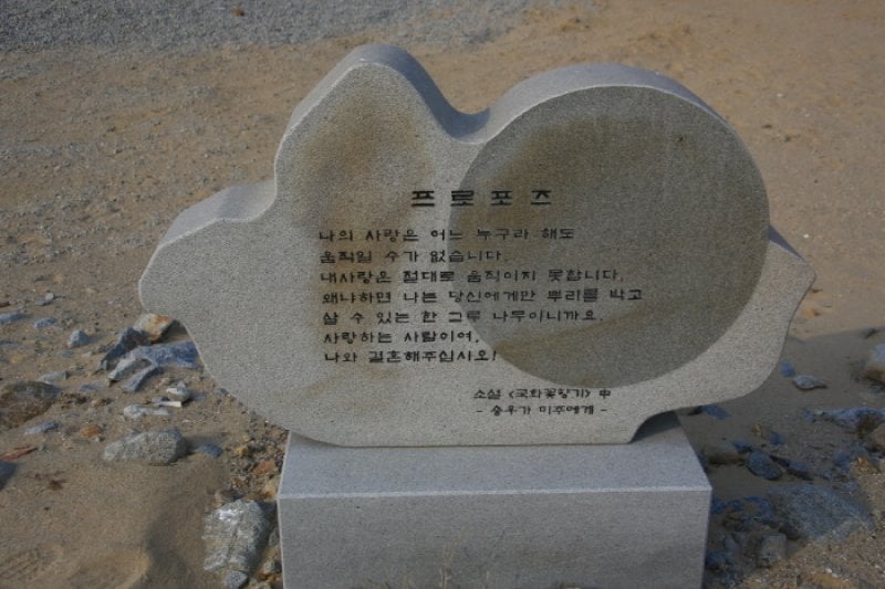 金河仁艺术厅 菊花香气