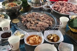 银杏树家