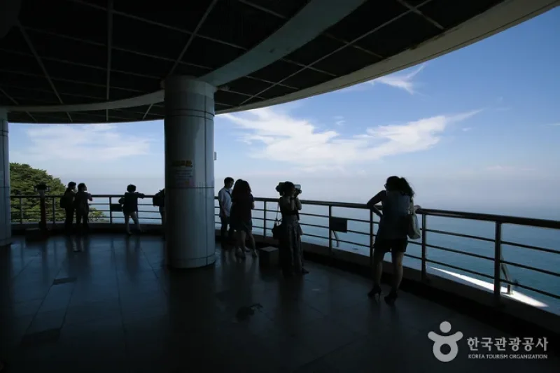 太宗台（釜山国家地質公園） (5/20)