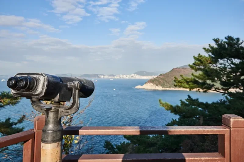 太宗台（釜山国家地質公園） (13/20)