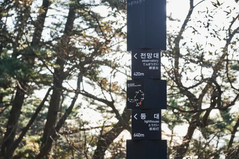 太宗台（釜山国家地質公園） (20/20)