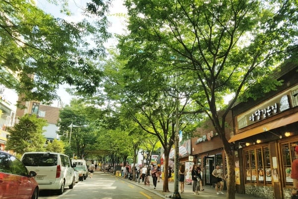 年轻的街道-您在这里的年轻城市！ 弘大最佳饮食胜地