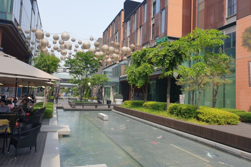 安东汤饭&amp;蓬坪荞麦村