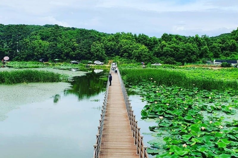 교동도(강화)