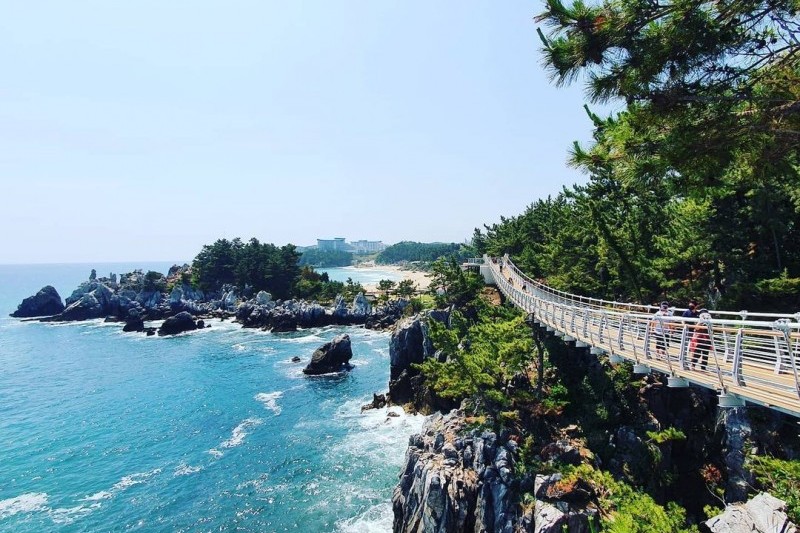 湫岩吊桥추암 출렁다리 (8/10)