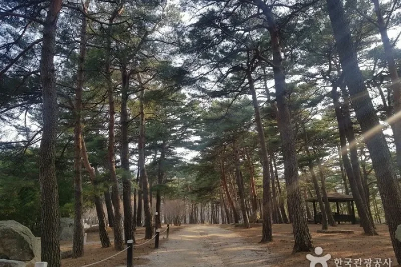 （株）尺山温泉休养村[韩国旅游品质认证/Korea Quality]（
