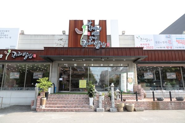 从山上摘的蓟菜饭