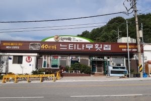 榉树生鱼片店 