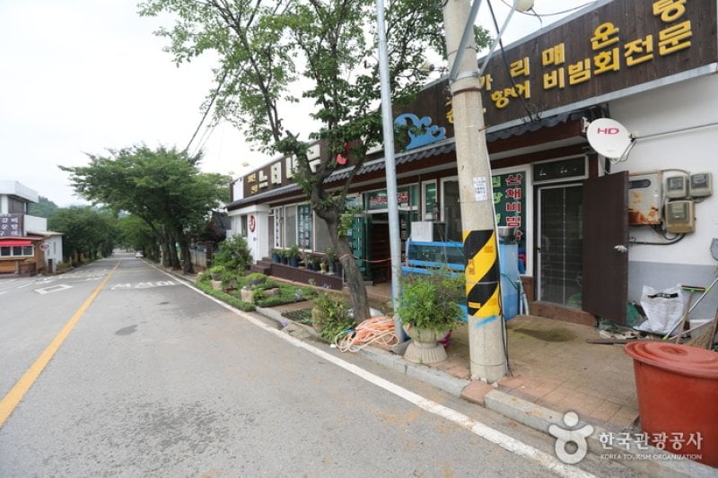 榉树生鱼片店 
