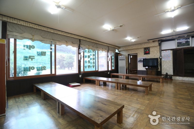 榉树生鱼片店 