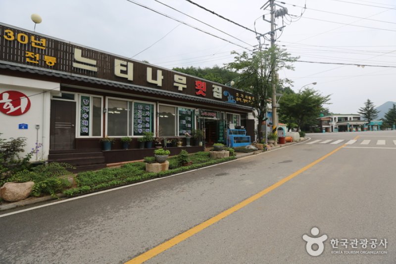 榉树生鱼片店 