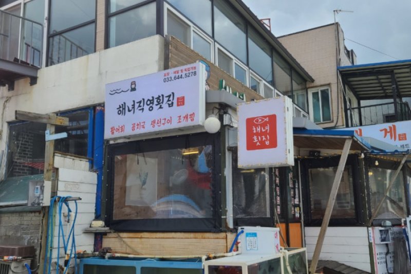 海女直营鱼脍店 