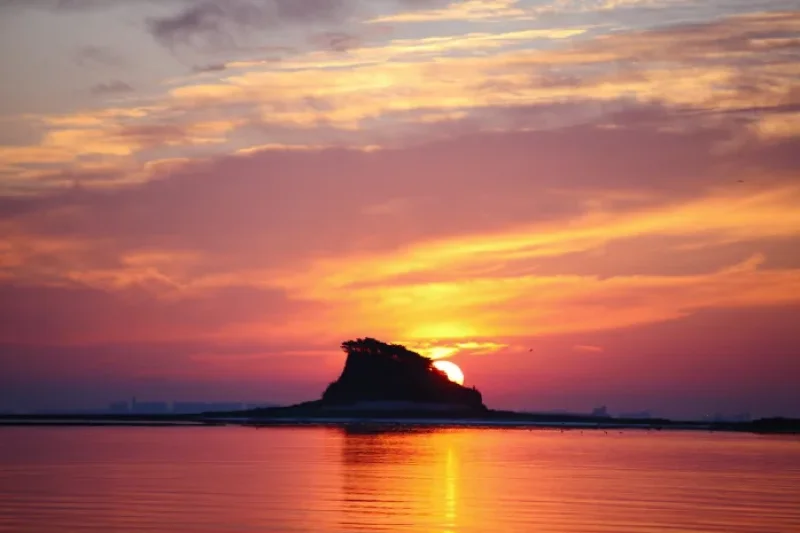 巨蚕浦海边