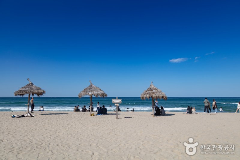 襄阳SURFYY BEACH (2/20)