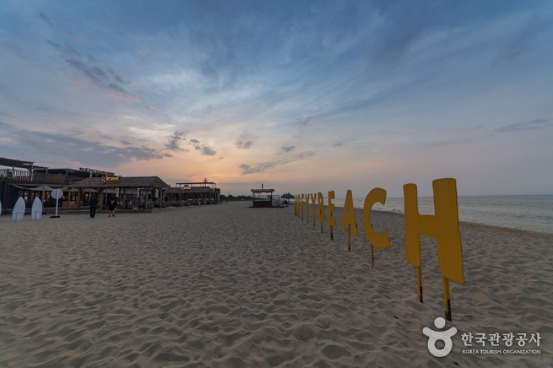 襄阳SURFYY BEACH (12/20)