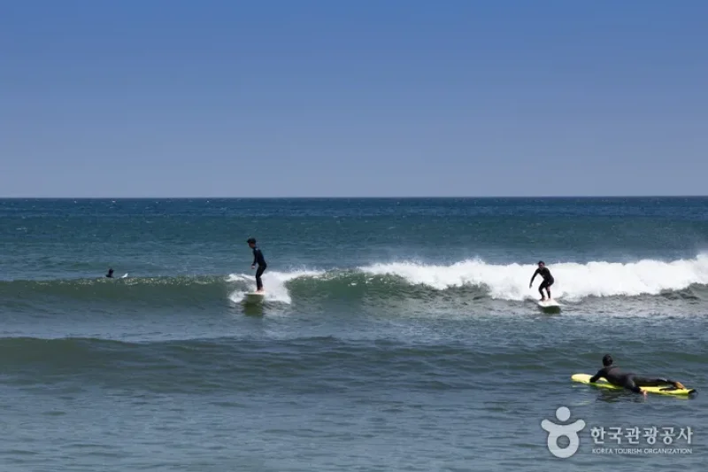 襄阳SURFYY BEACH (16/20)