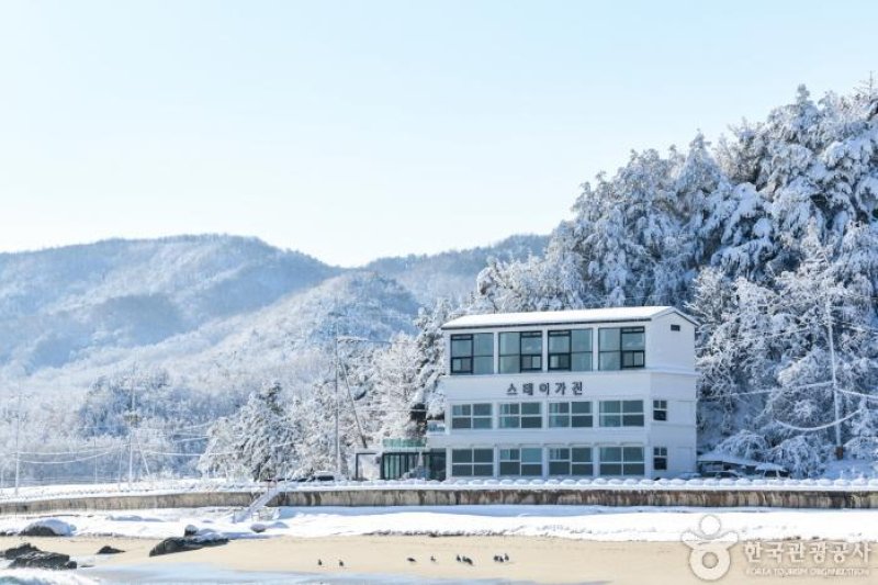 Stay Gajin[韩国旅游品质认证/Korea Quality]  (1/4)