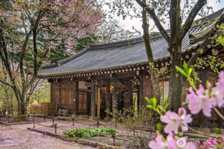 静观楼酒店副楼（公寓别墅） [韩国旅游品质认证/Korea Quality] / 호텔정관루별관