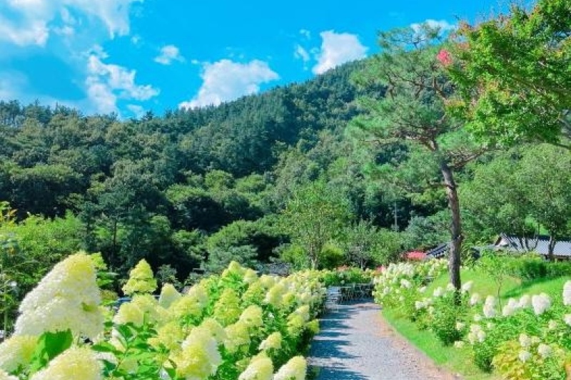 所阳古宅韩屋住宿 韩国旅游品质认证/Korea Quality] /소양고택 한옥스테이 [한국관광 품질인증/Korea Quality] (2/5)