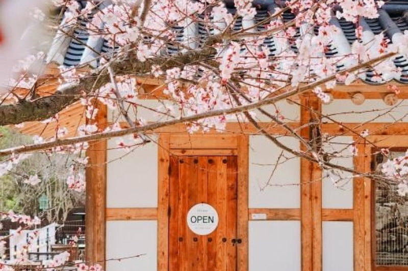所阳古宅韩屋住宿 韩国旅游品质认证/Korea Quality] /소양고택 한옥스테이 [한국관광 품질인증/Korea Quality] (5/5)