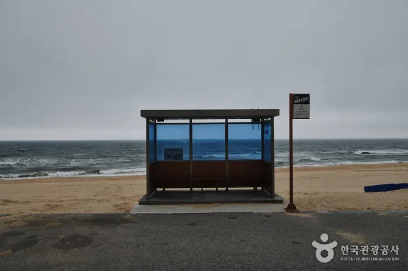 香湖海水浴场 (2/3)
