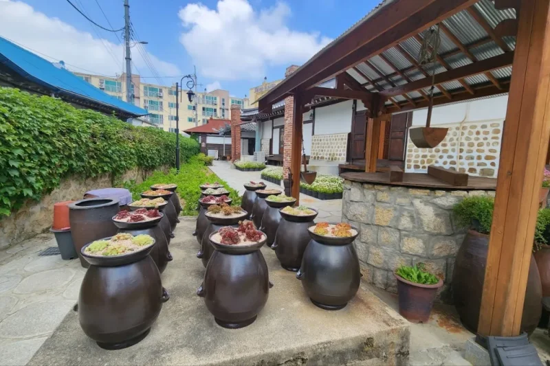江华里子(布料)体验馆
