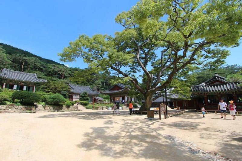 传灯寺(江华) (3/6)