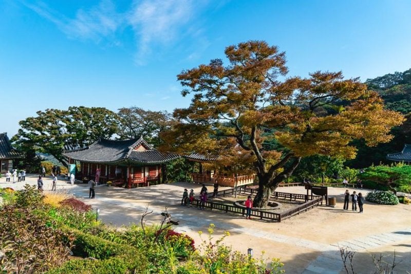传灯寺(江华) (4/6)