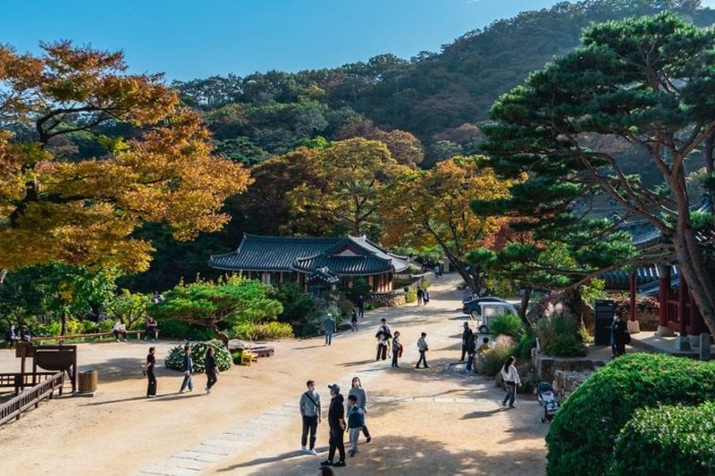 传灯寺(江华) (5/6)