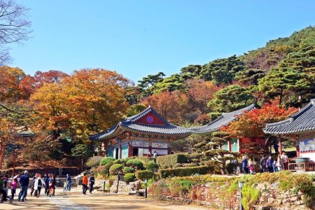 传灯寺(江华)