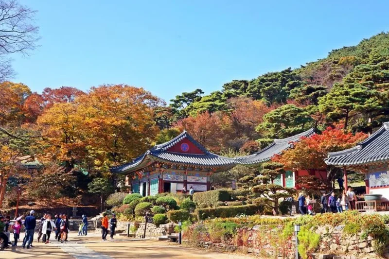 传灯寺(江华) (6/6)