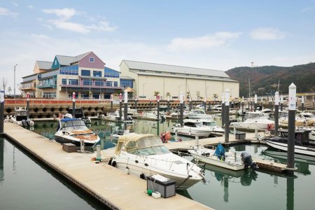 王山码头：仁川的海洋休闲胜地