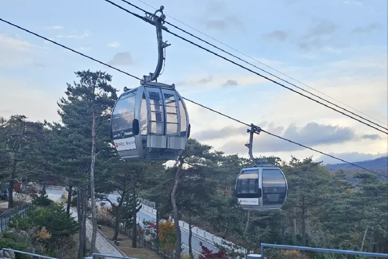 HIGH1度假村（High1 Resort）-江原道