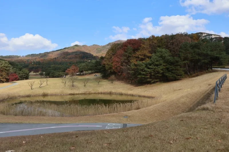 橡树谷度假村(Oak Valley)-江原道