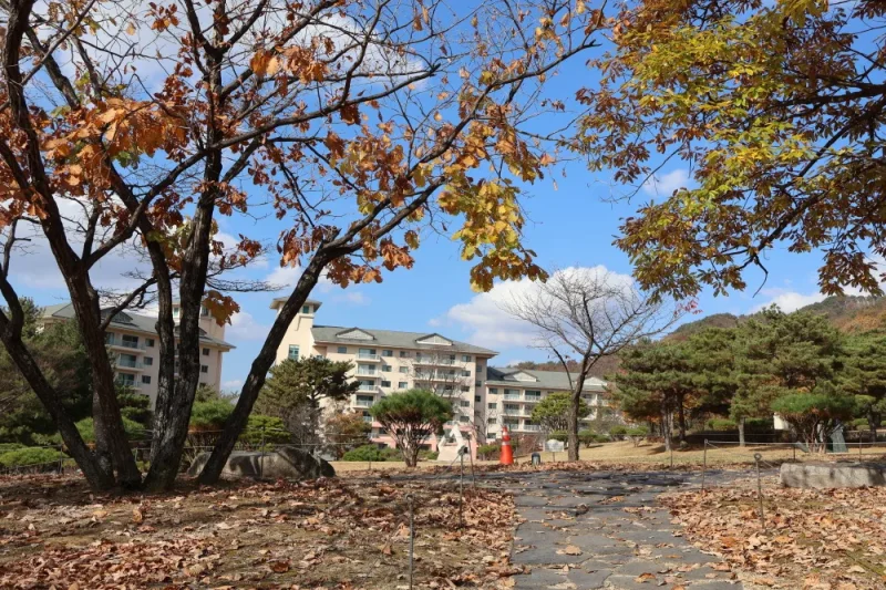橡树谷度假村(Oak Valley)-江原道
