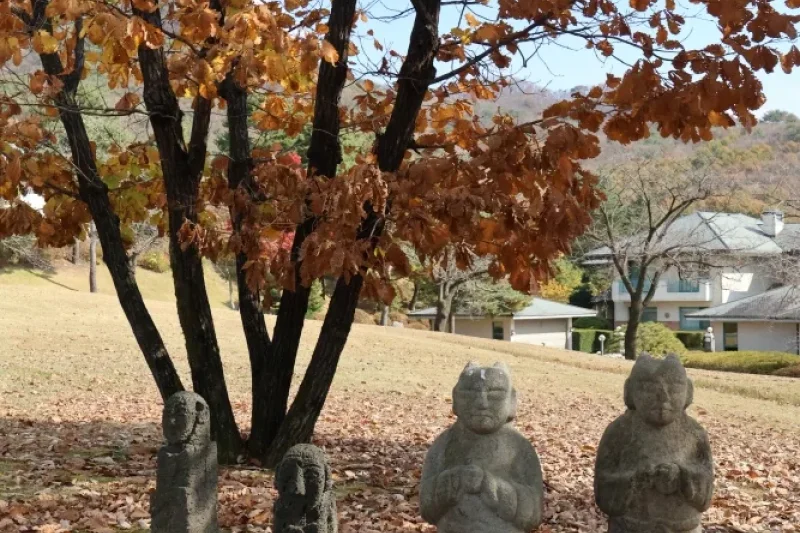 橡树谷度假村(Oak Valley)-江原道