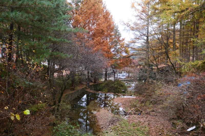 探索皮诺丘自然休养林（Pinocchio Forest）-江原道 (22/23)