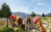 羊驼世界(AlpacaWorld) 门票 - 韩国热门多种动物互动秀